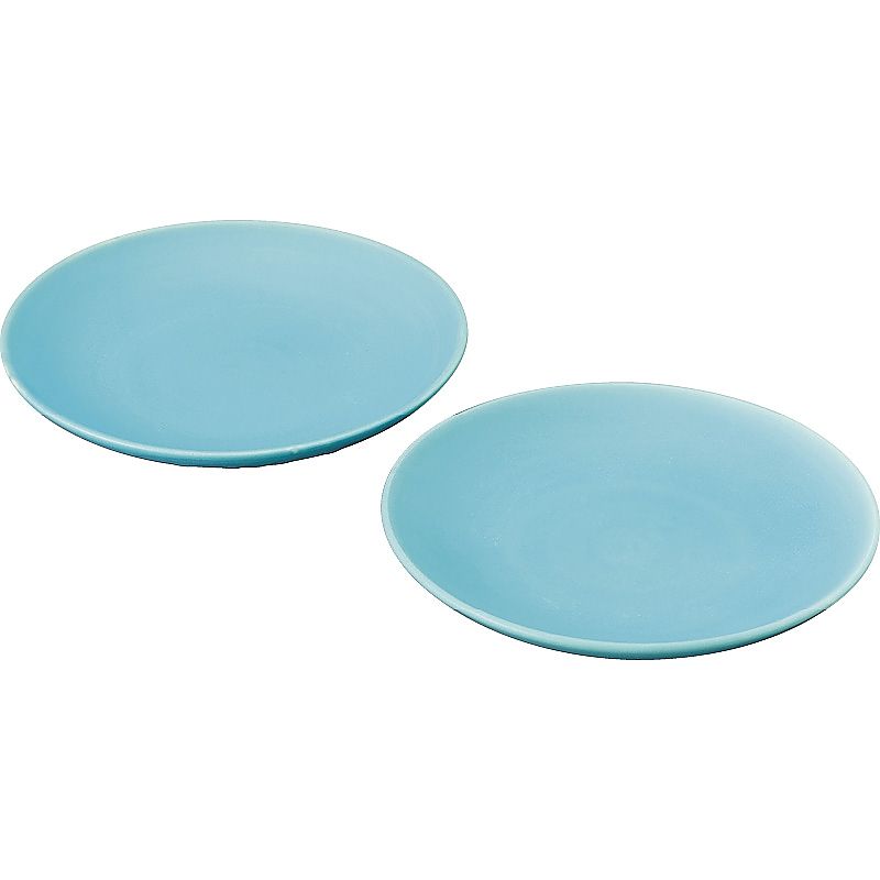 ( 信楽焼 / Toruco ) ペア皿