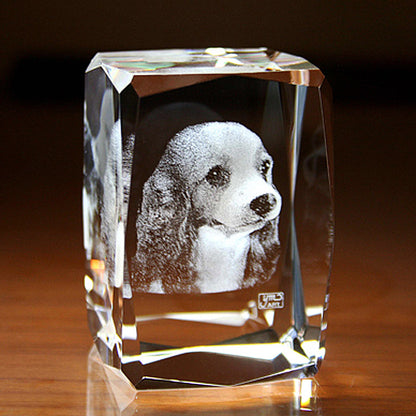 名入れ クリスタル オーナメント 2Dインサイドレーザー加工 | キューブ24面カット