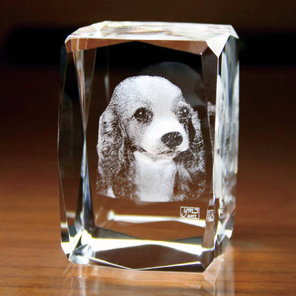 名入れ クリスタル オーナメント 2Dインサイドレーザー加工 | キューブ24面カット