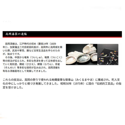 天野漆器 / 螺鈿入ガラス漆 ロックグラス ( ライン / 貝入 )