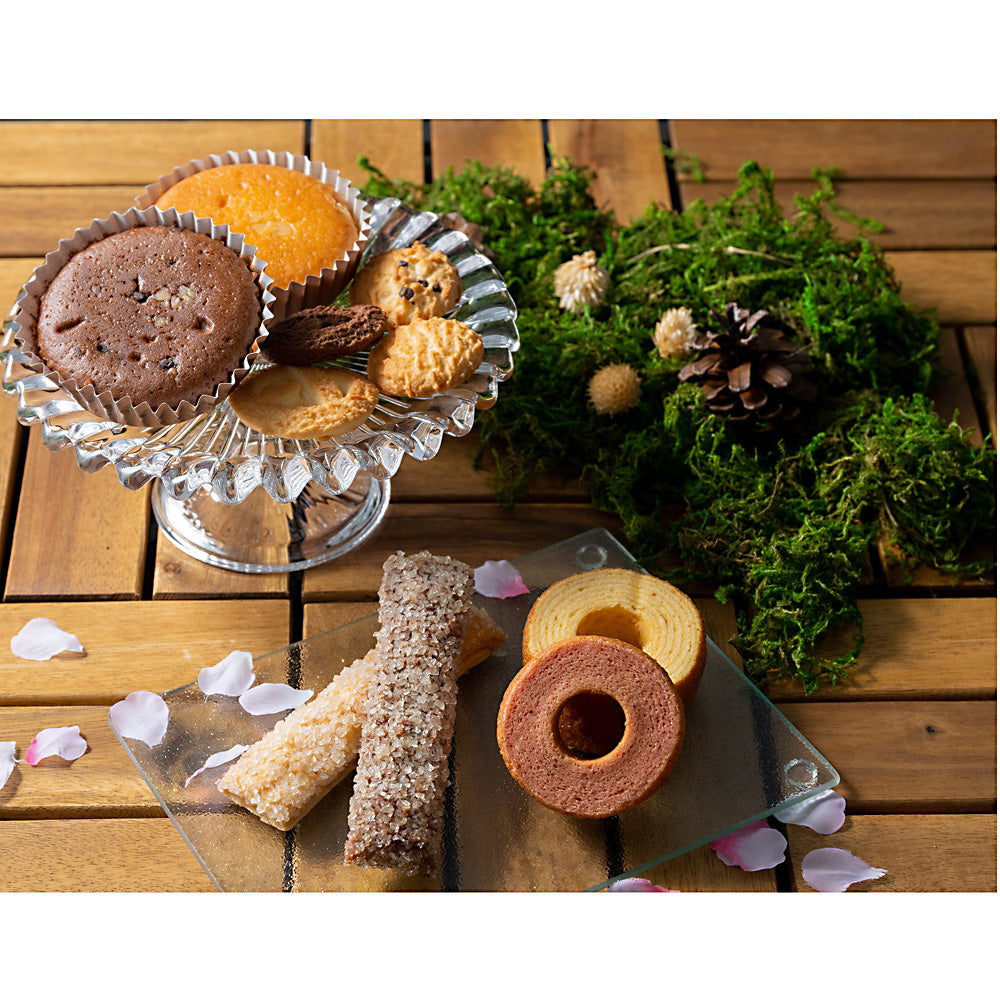 森の庭 森の焼き菓子 芽吹き 16個