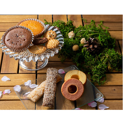 森の庭 森の焼き菓子 芽吹き 16個