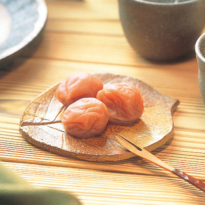 濱田農園 梅干し 紀州南高梅 | 和歌山のちょっといい梅 百薬の一粒 香壌栽培の梅干 特別栽培