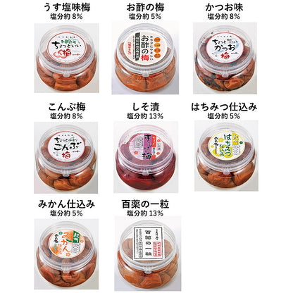 濱田農園 梅干し 紀州南高梅 | 和歌山のちょっといい梅 選べる3個セット