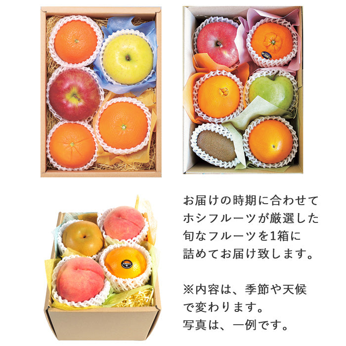 産地直送 ホシフルーツ おまかせ旬のフルーツBOX B