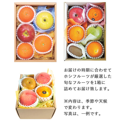 産地直送 ホシフルーツ おまかせ旬のフルーツBOX B