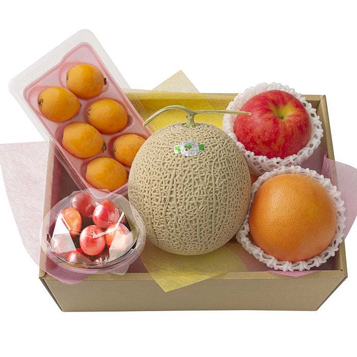 産地直送 ホシフルーツ おまかせ旬のフルーツBOX D