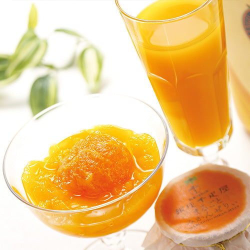 産地直送 銀座千疋屋 銀座千疋屋マンゴードリンク＆まるごとみかんぜりぃ