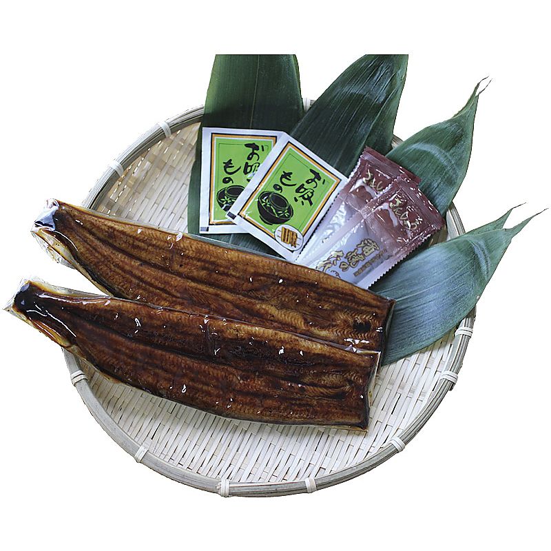 ( 産地直送 お取り寄せグルメ ) 浜松・浜名湖 うなぎ蒲焼 （ 長焼き2尾 ）