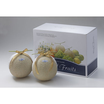 静岡産 マスクメロン 2玉 産地直送 お取り寄せグルメ 702-1636p