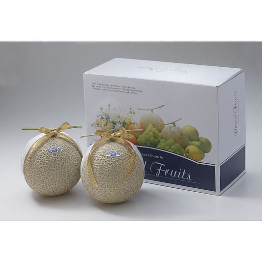 静岡産 マスクメロン 2玉 産地直送 お取り寄せグルメ 702-1636p