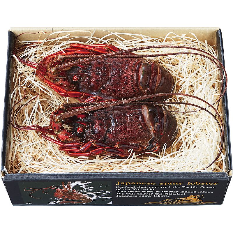 三重県 神の国伊勢志摩発凍眠セレクション 凍眠伊勢海老2尾セット 産地直送 お取り寄せグルメ 702-1679p