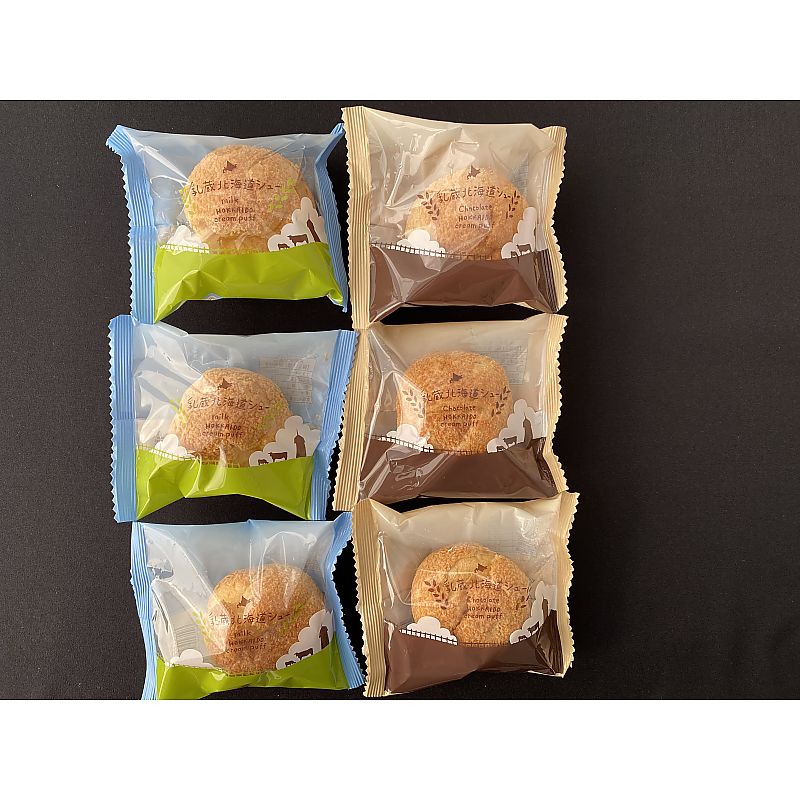 乳蔵 北海道 シュークリーム 6個 産地直送 お取り寄せグルメ 702-1832p