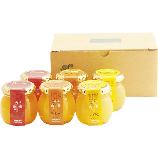 伊藤農園 ピュアフルーツ寒天ジュレ6個セット 702-2153p